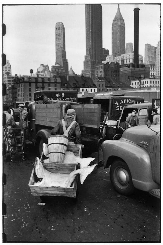 New York, New York