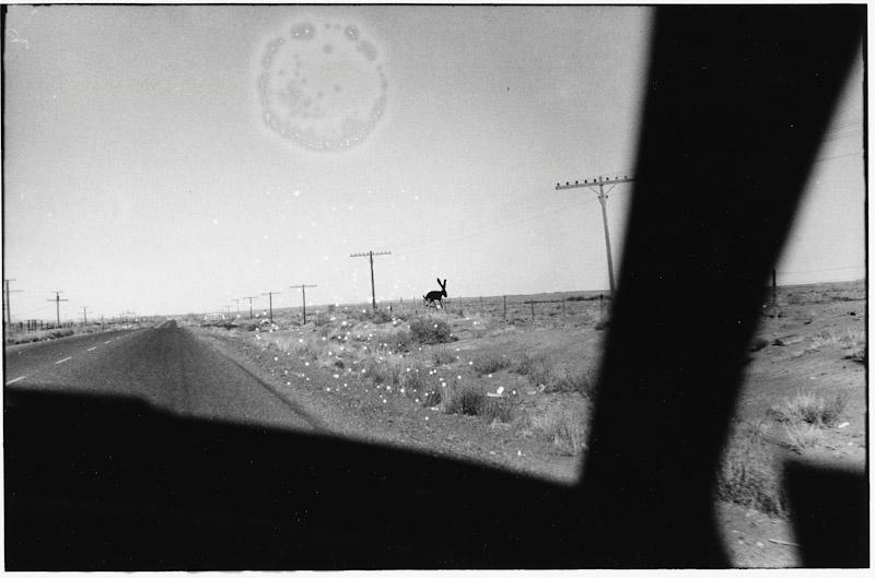 Holbrook, Arizona
