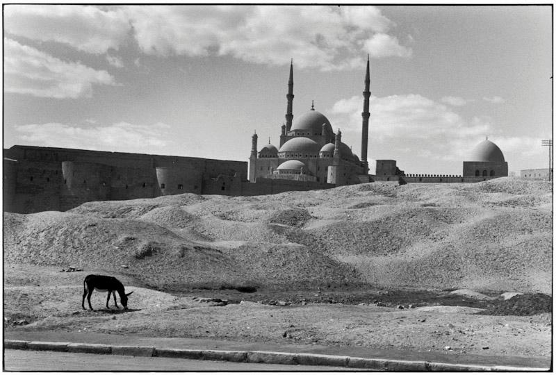 Egypt