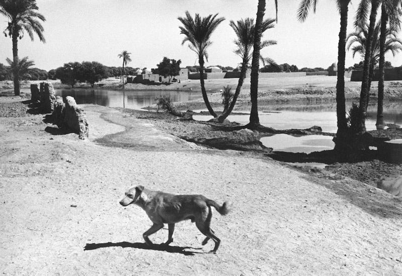 Luxor, Egypt