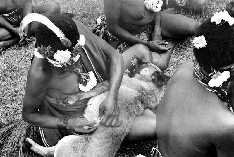 New Guinea