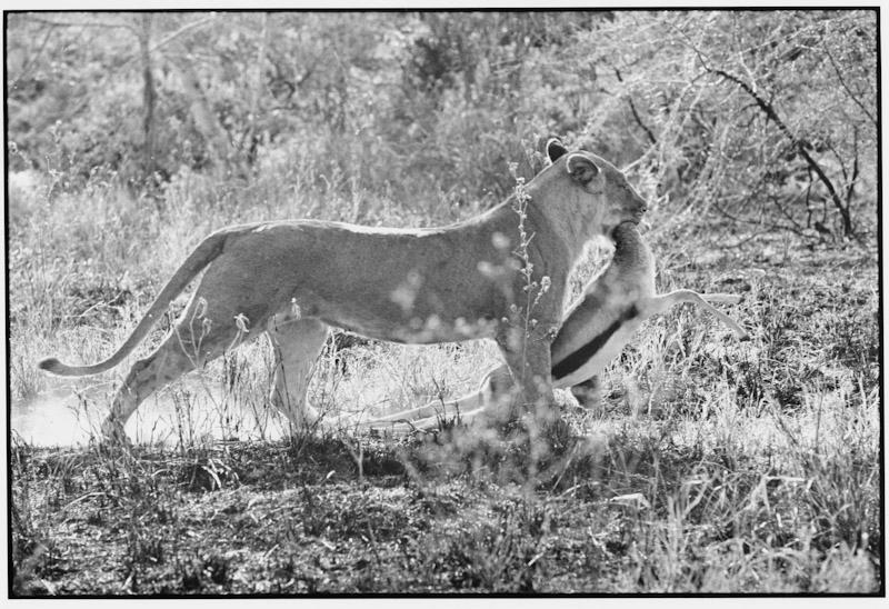 Kenya