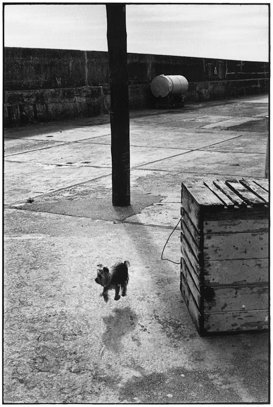 Ballycotton, Ireland