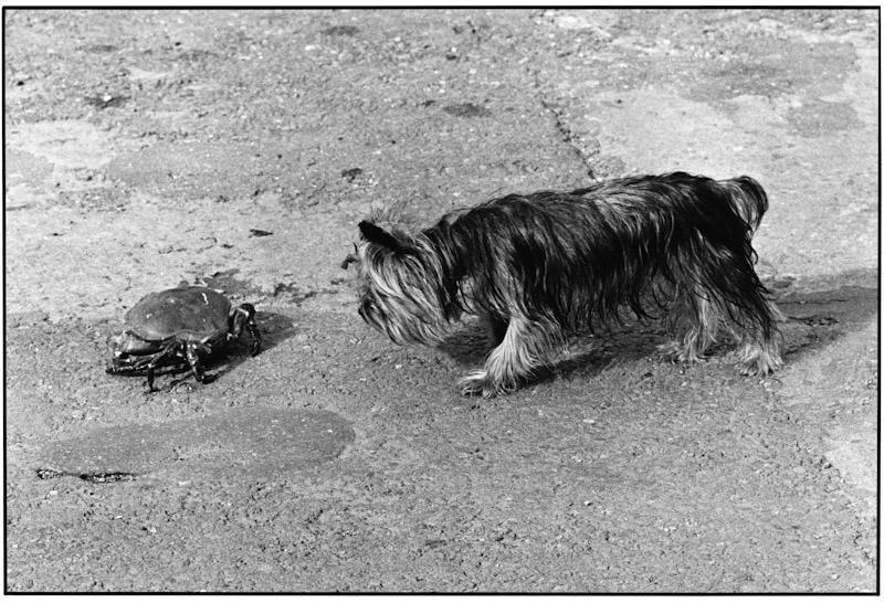 Ballycotton, Ireland