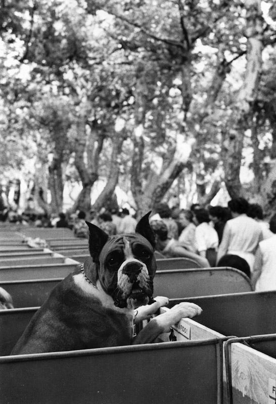 Saint Tropez, France