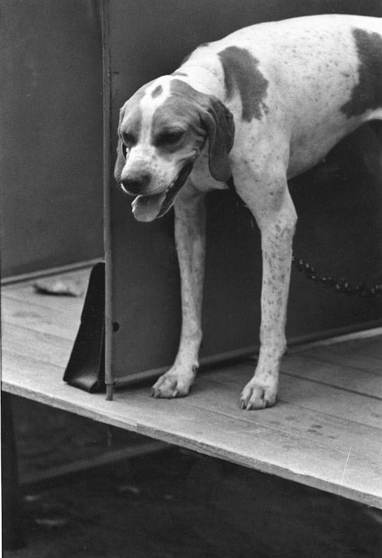 Saint Tropez, France