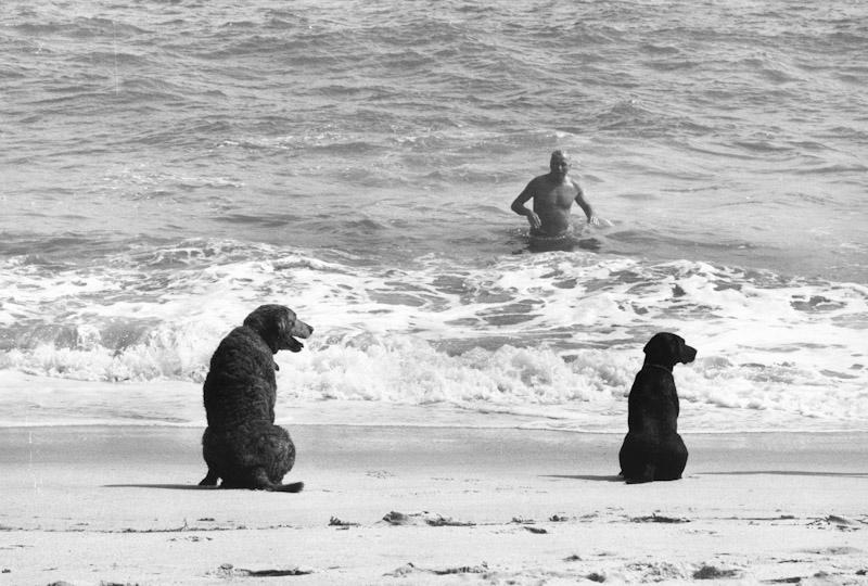 Amagansett, New York