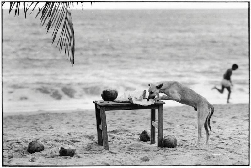 Mexico