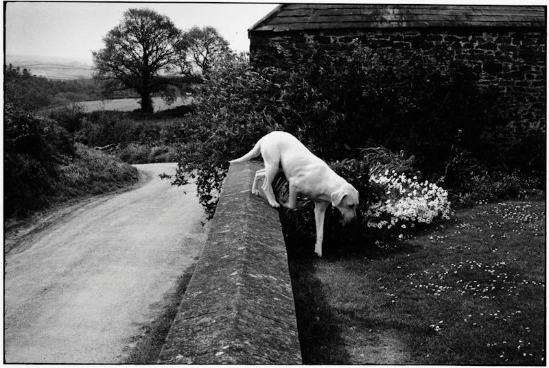 England