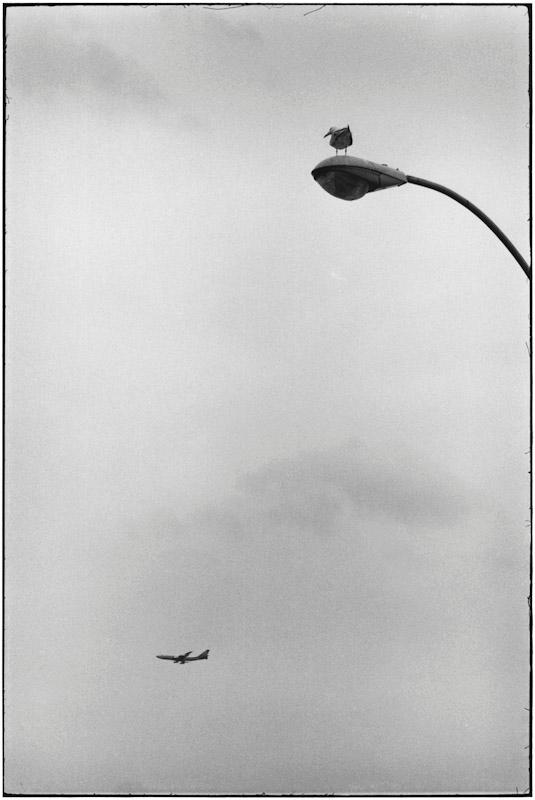 Coney Island, New York