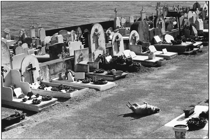 Saint Tropez, France