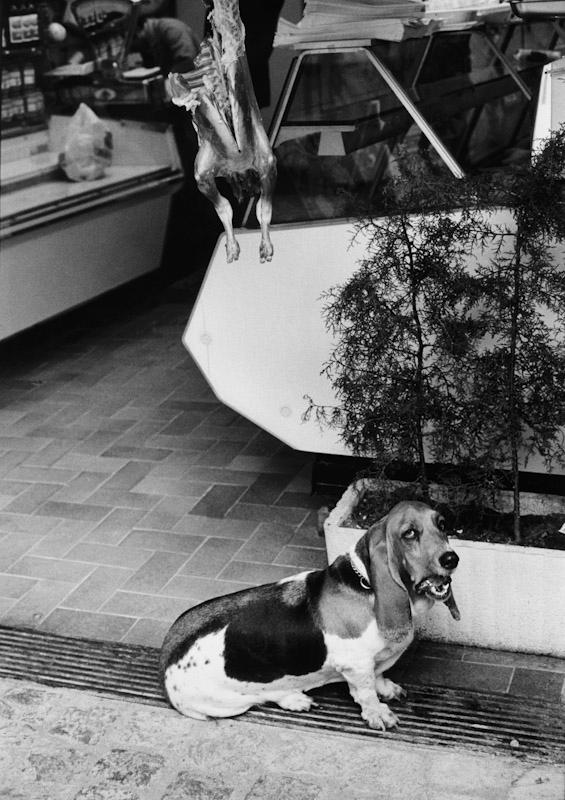 Saint Tropez, France