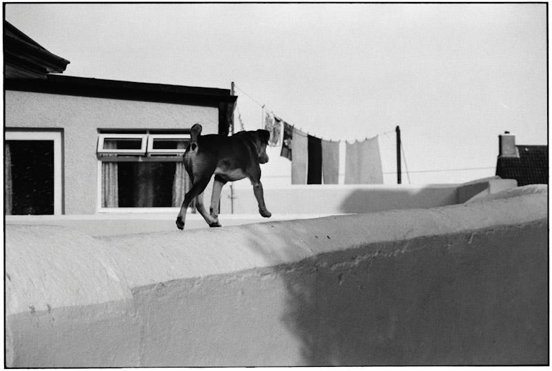 Ballycotton, Ireland