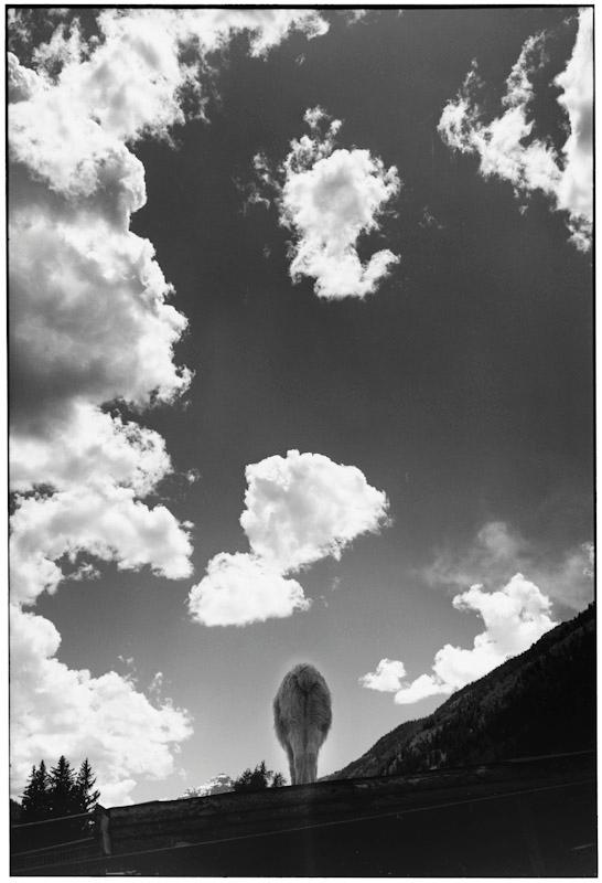 Aspen, Colorado