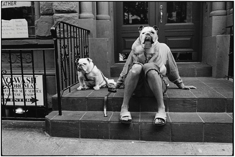 New York, New York