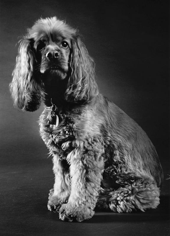 New York, New York