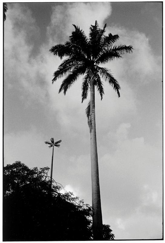 Bahia, Brazil