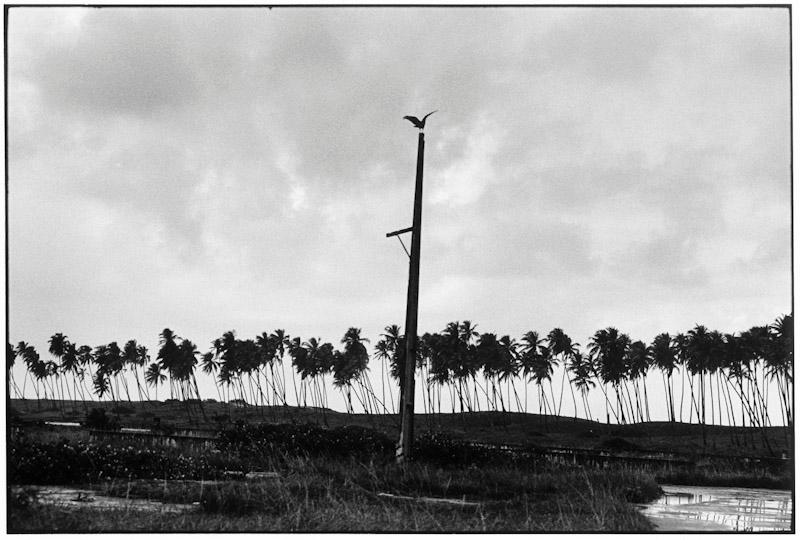 Bahia, Brazil
